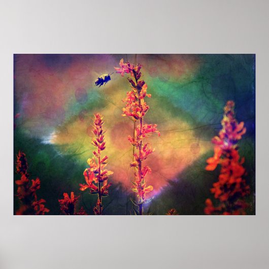 Wildbloemen N Bee Autumn Diamond Poster (Voorkant)