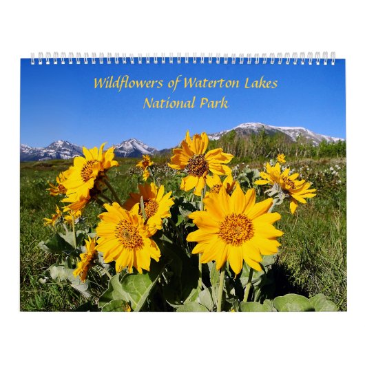 Wildbloemen Nationaal Park Watertonmeren Kalender (Hoes)
