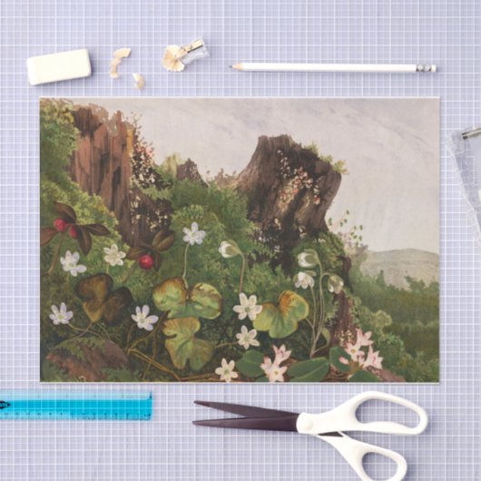 Wildbloemen nr. 2 van Ellen Robbins Tissuepapier (Craft)