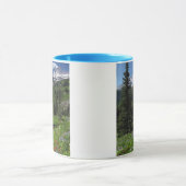 Wildbloemen op de berg Rainier Mok (Midden)