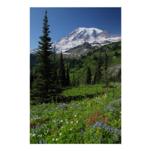 Wildbloemen op de berg Rainier Perfect Poster