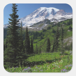 Wildbloemen op de berg Rainier Vierkante Sticker