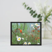 Wildbloemen op Glacier Briefkaart (Staand voorkant)