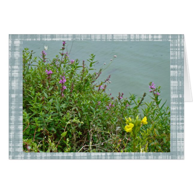 Wildbloemen op het Groene Lane Reservoir (Voorkant Horizontaal)