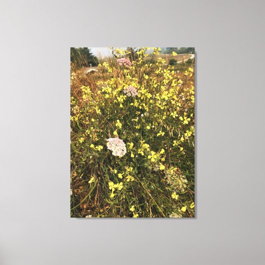 Wildbloemen op Kaapse Blanco, oregon Coast Canvas Afdruk (Voorkant)