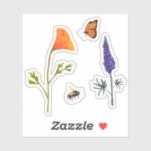 Wildbloemen papaver vlinder bij