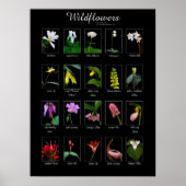Wildbloemen poster (Voorkant)