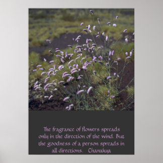 wildbloemen poster