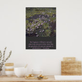 wildbloemen poster (Keuken)