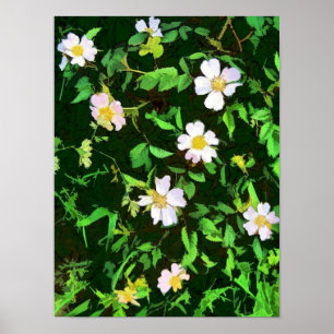 WILDBLOEMEN POSTER