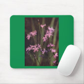 Wildbloemen: Ragged Robin Muismat (Met muis)