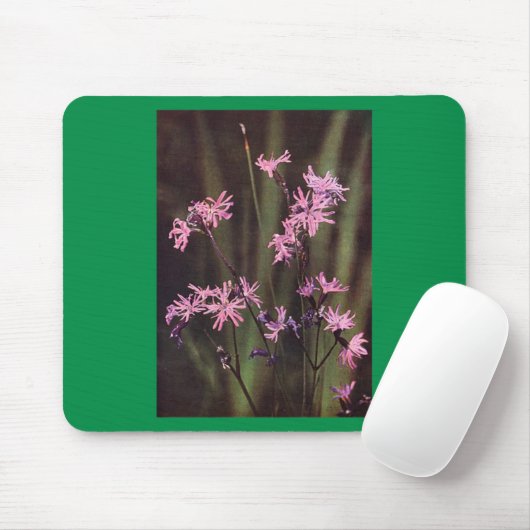 Wildbloemen: Ragged Robin Muismat (Met muis)