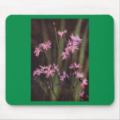 Wildbloemen: Ragged Robin Muismat (Voorkant)