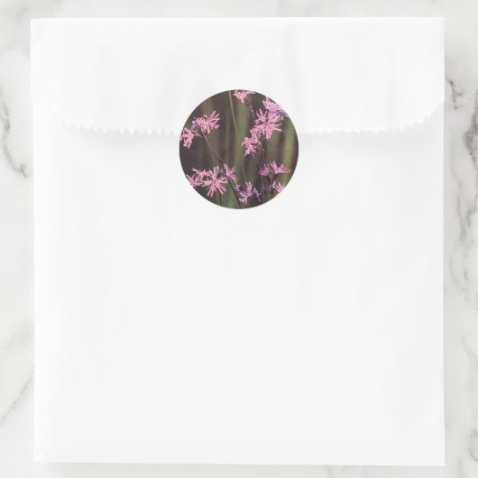 Wildbloemen: Ragged Robin Ronde Sticker (Tas)