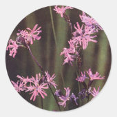 Wildbloemen: Ragged Robin Ronde Sticker (Voorkant)