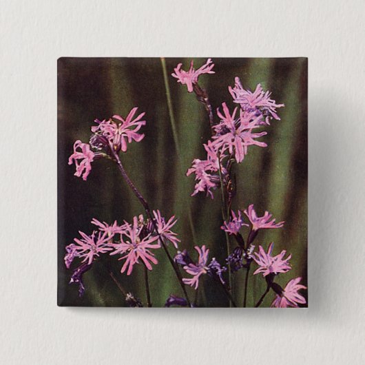 Wildbloemen: Ragged Robin Vierkante Button 5,1 Cm (Voorkant)