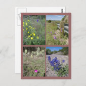 Wildbloemen uit Texas Briefkaart (Voorkant / Achterkant)