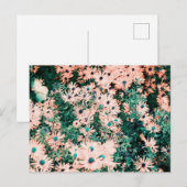 Wildbloemen unieke kleuren briefkaart (Voorkant / Achterkant)