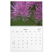 Wildbloemen van de Europese kalender 2010 (Mar 2027)