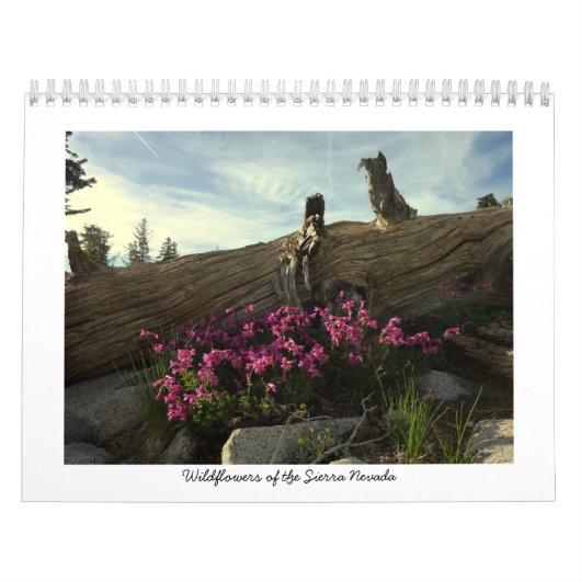 Wildbloemen van de Sierra Nevada Kalender (Hoes)