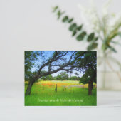 Wildbloemen van het Texas Hill Country Briefkaart (Staand voorkant)