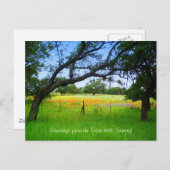 Wildbloemen van het Texas Hill Country Briefkaart (Voorkant / Achterkant)