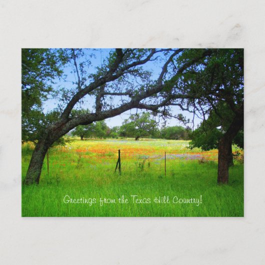 Wildbloemen van het Texas Hill Country Briefkaart (Voorkant)