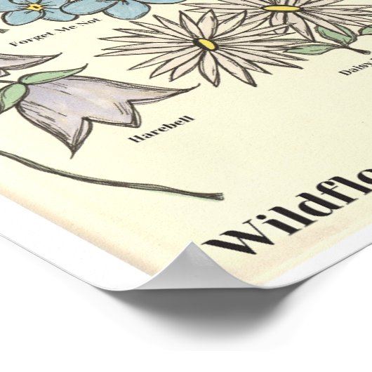 Wildbloemen van Michigan Hand getekende kunst prin Poster (Hoek)