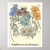 Wildbloemen van Michigan Hand getekende kunst prin Poster (Voorkant)
