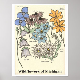 Wildbloemen van Michigan Hand getekende kunst prin Poster