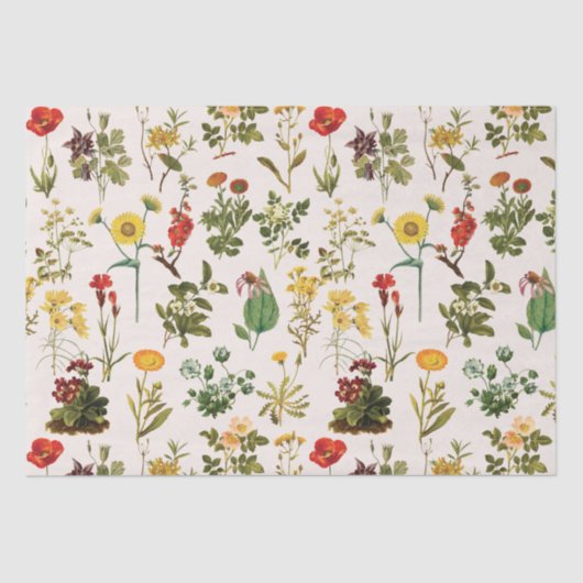  Wildbloempatroon Tissuepapier (Voorkant)