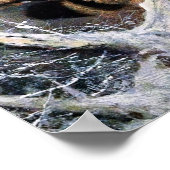 Wildcat Artwork Poster (Hoek)