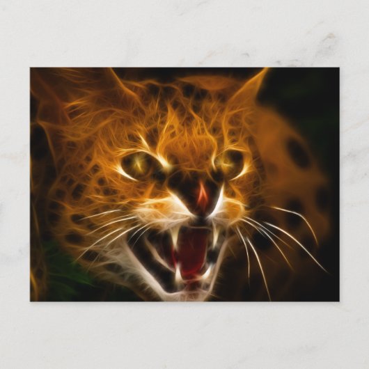 Wildcat Briefkaart (Voorkant)