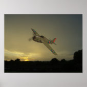 WildCat F4F Poster (Voorkant)