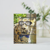 Wildcat Pidasol Briefkaart (Staand voorkant)