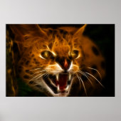 Wildcat Poster (Voorkant)