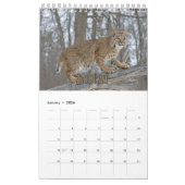 Wildcats Showcase Collectie Wall Agenda Kalender (Jan 2026)
