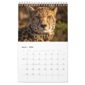 Wildcats Showcase Collectie Wall Agenda Kalender (Mar 2026)