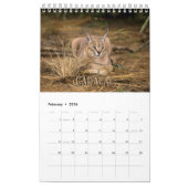 Wildcats Showcase Collectie Wall Agenda Kalender (Feb 2026)