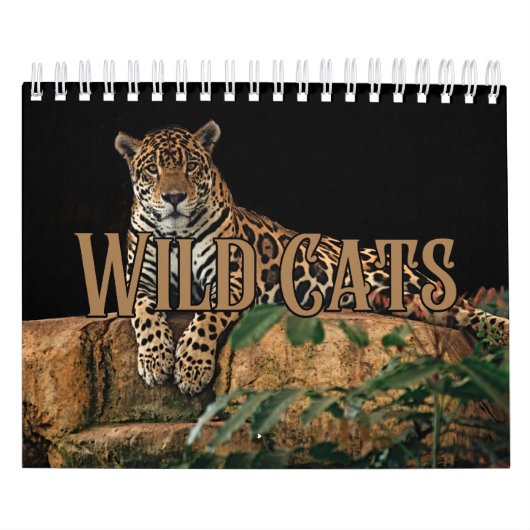 Wildcats Showcase Collectie Wall Agenda Kalender (Hoes)