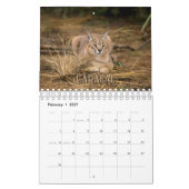 Wildcats Showcase Collectie Wall Agenda Kalender (Feb 2027)