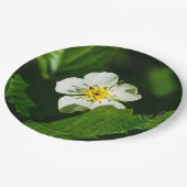 Wilde aardbeerbloem papieren bordje (Gekanteld)