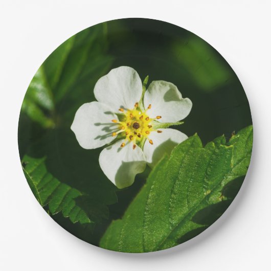 Wilde aardbeerbloem papieren bordje (Voorkant)