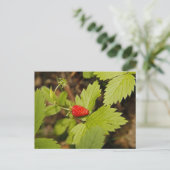 Wilde aardbei briefkaart (Staand voorkant)
