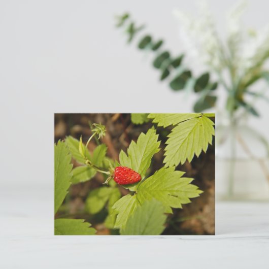 Wilde aardbei briefkaart (Staand voorkant)