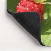 Wilde aardbei muismat (Hoek)