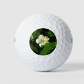 Wilde aardbeienventilator golfballen (Voorkant)