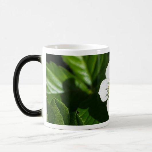 Wilde aardbeienventilator magische mok (Links)