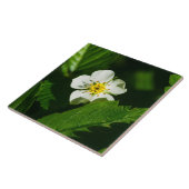 Wilde aardbeienventilator tegeltje (Zijkant)