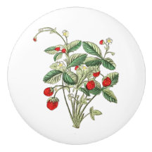 Wilde Aardbeier Keramische Knop